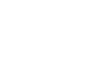 Brightloops-logo-negatief-versie-01